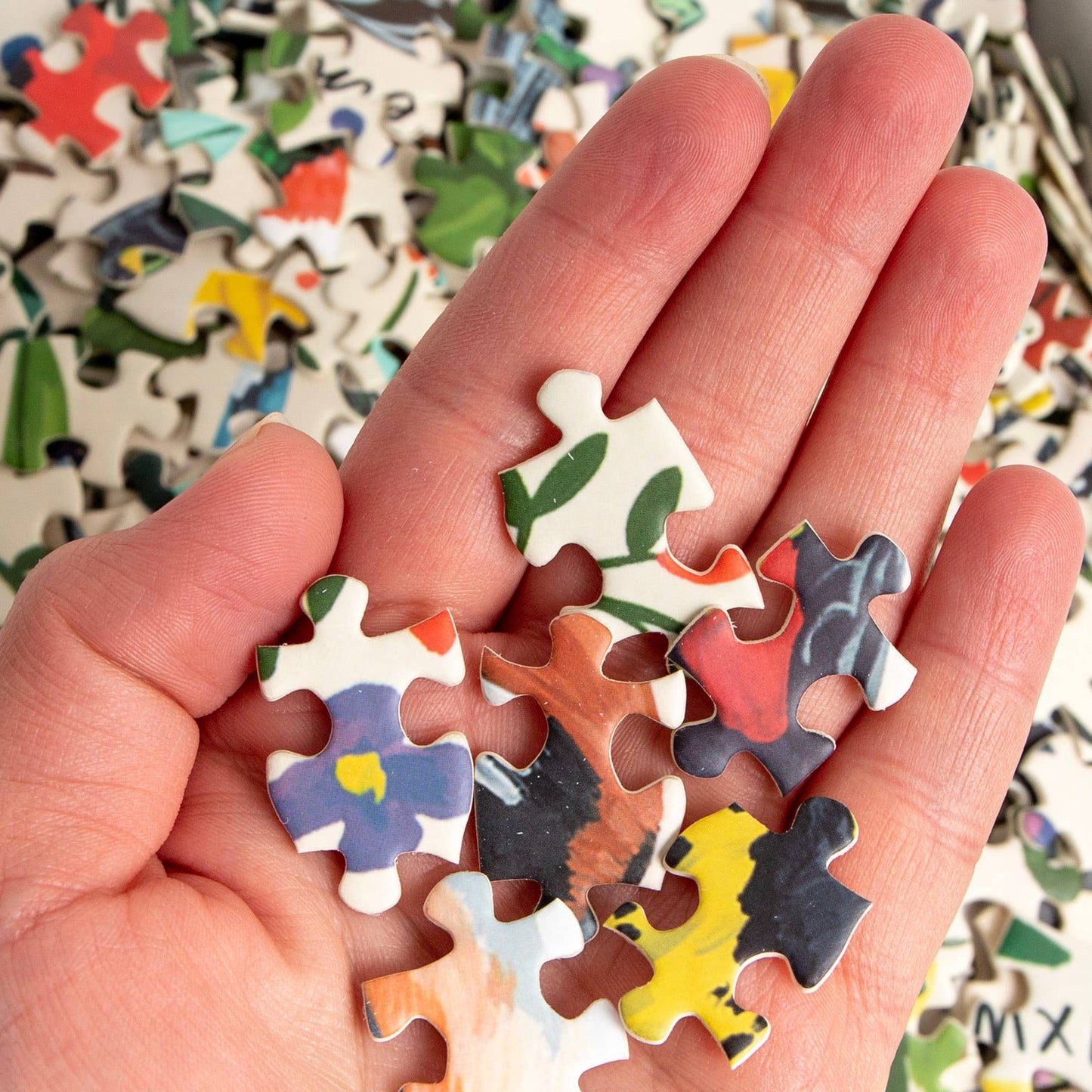 Feathered Friends: 1,000 Piece Bird Jigsaw Puzzle