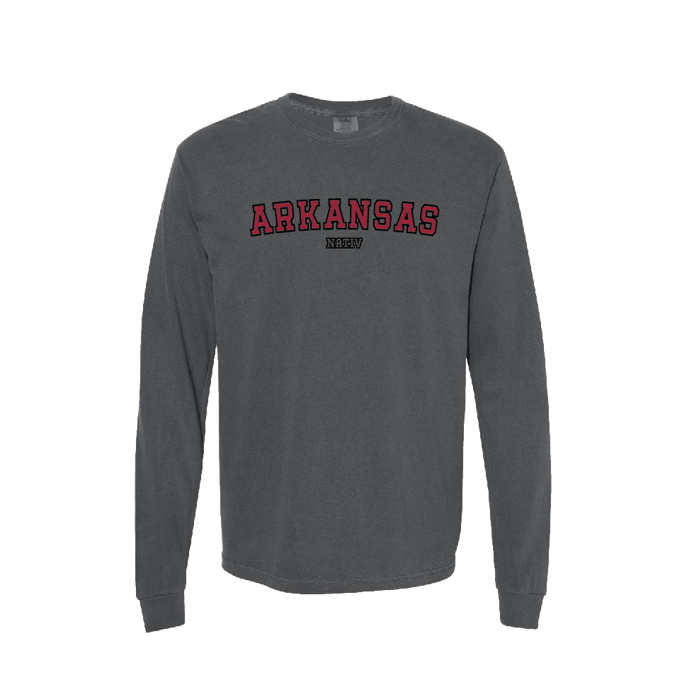 Arkansas game day