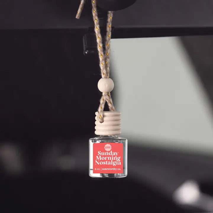 Car Diffusers- Assorted