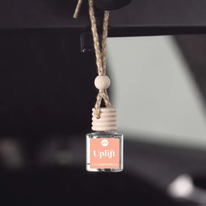 Car Diffusers- Assorted