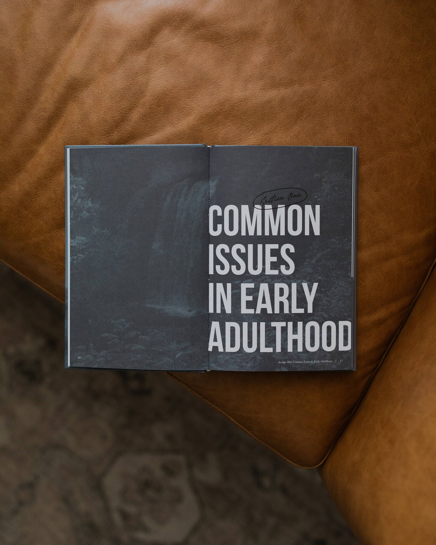 Where Do I Go From Here? Navigating Early Adulthood with God’s Wisdom and Peace