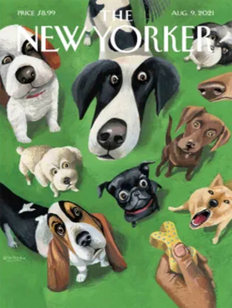Dog Puzzle