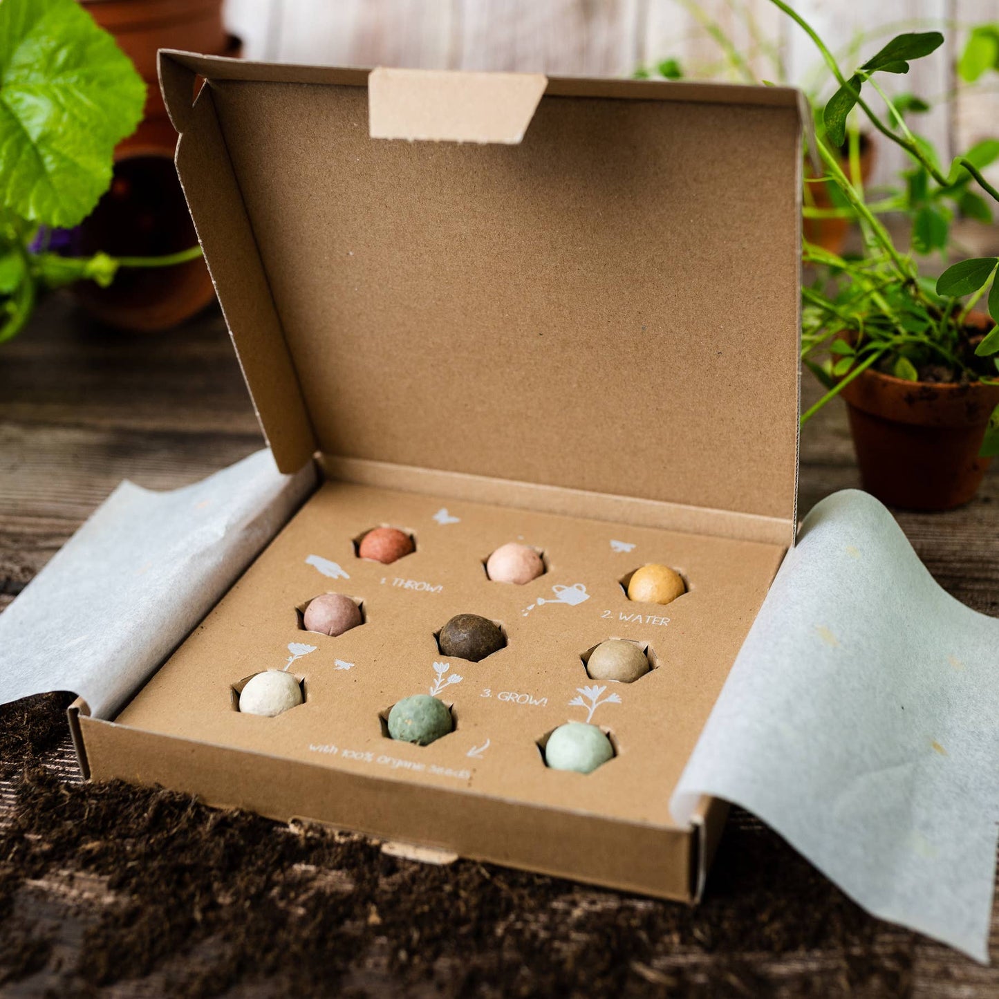 Blossombs Medium Box