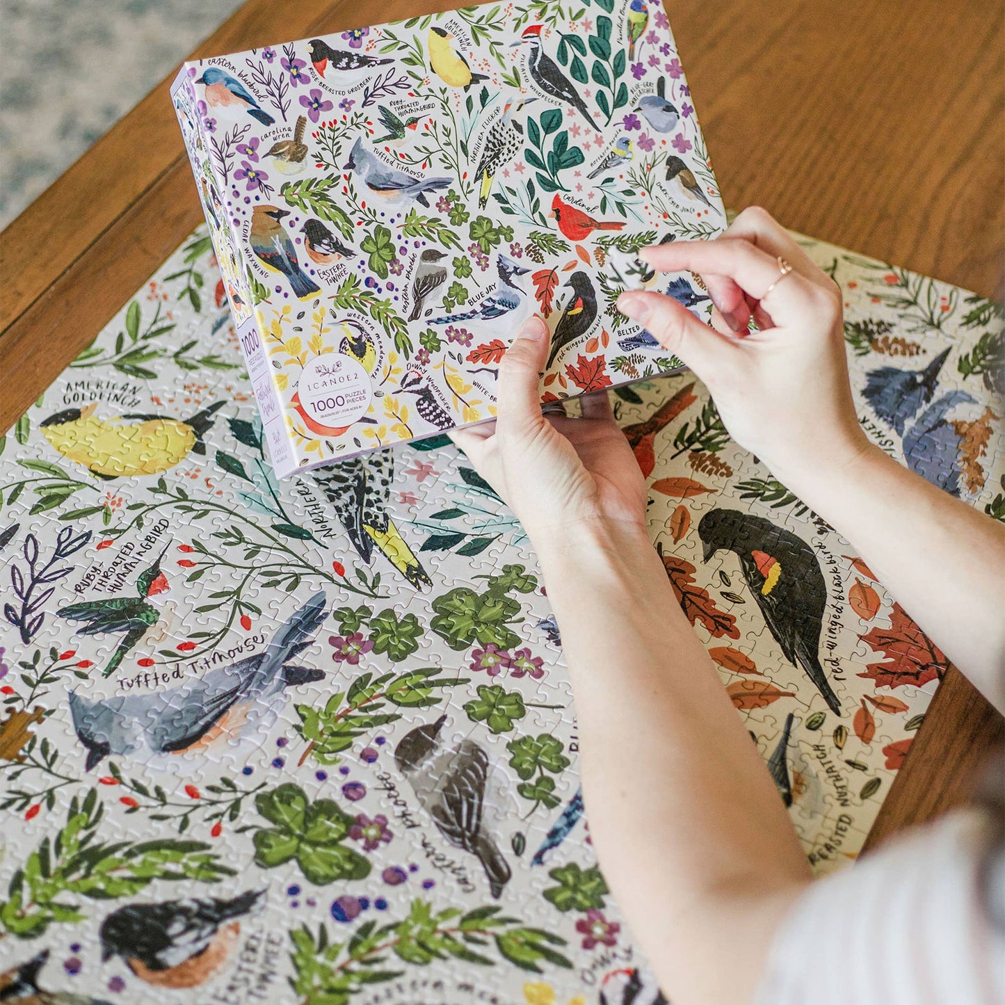 Feathered Friends: 1,000 Piece Bird Jigsaw Puzzle
