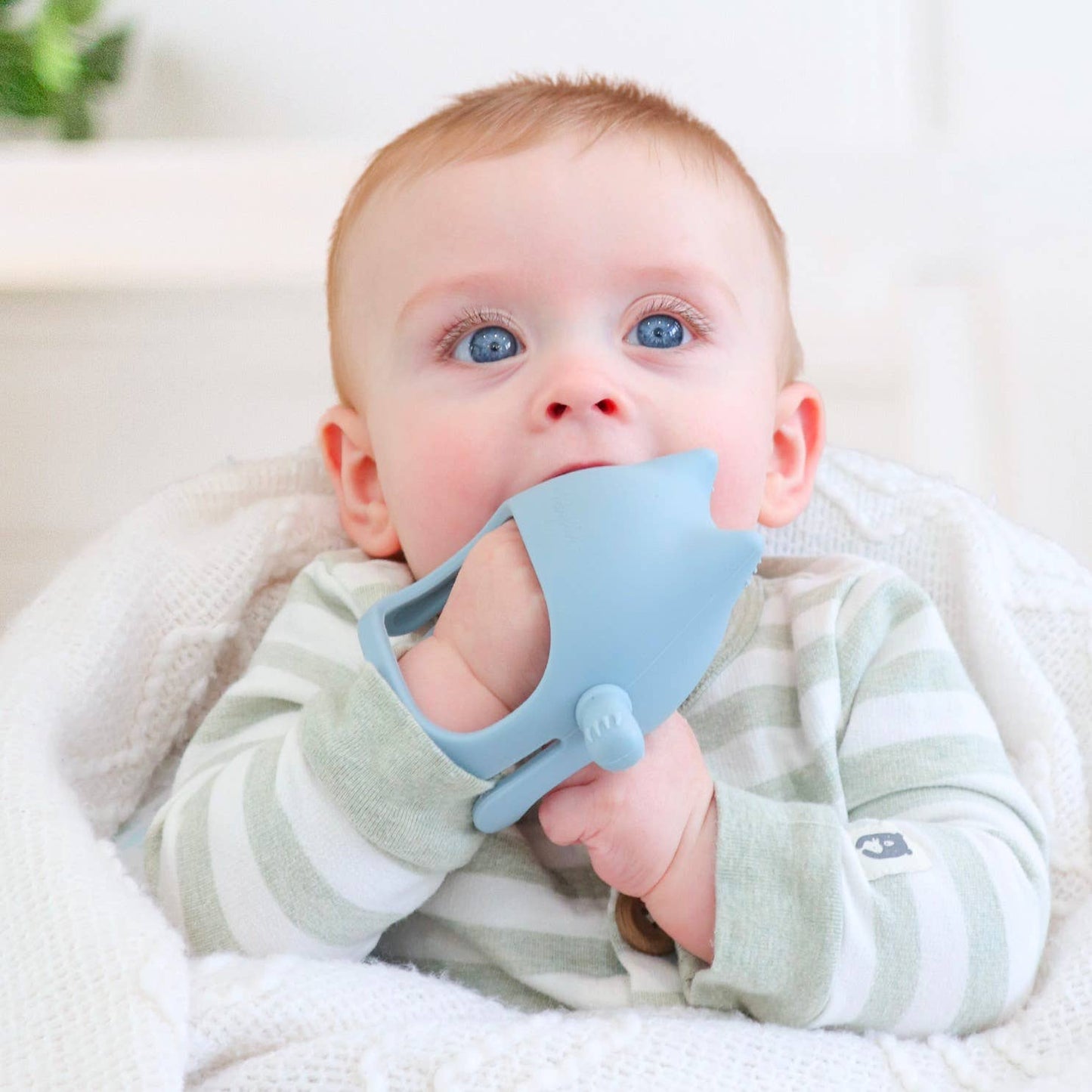 Silicone Cat Teething Mitt