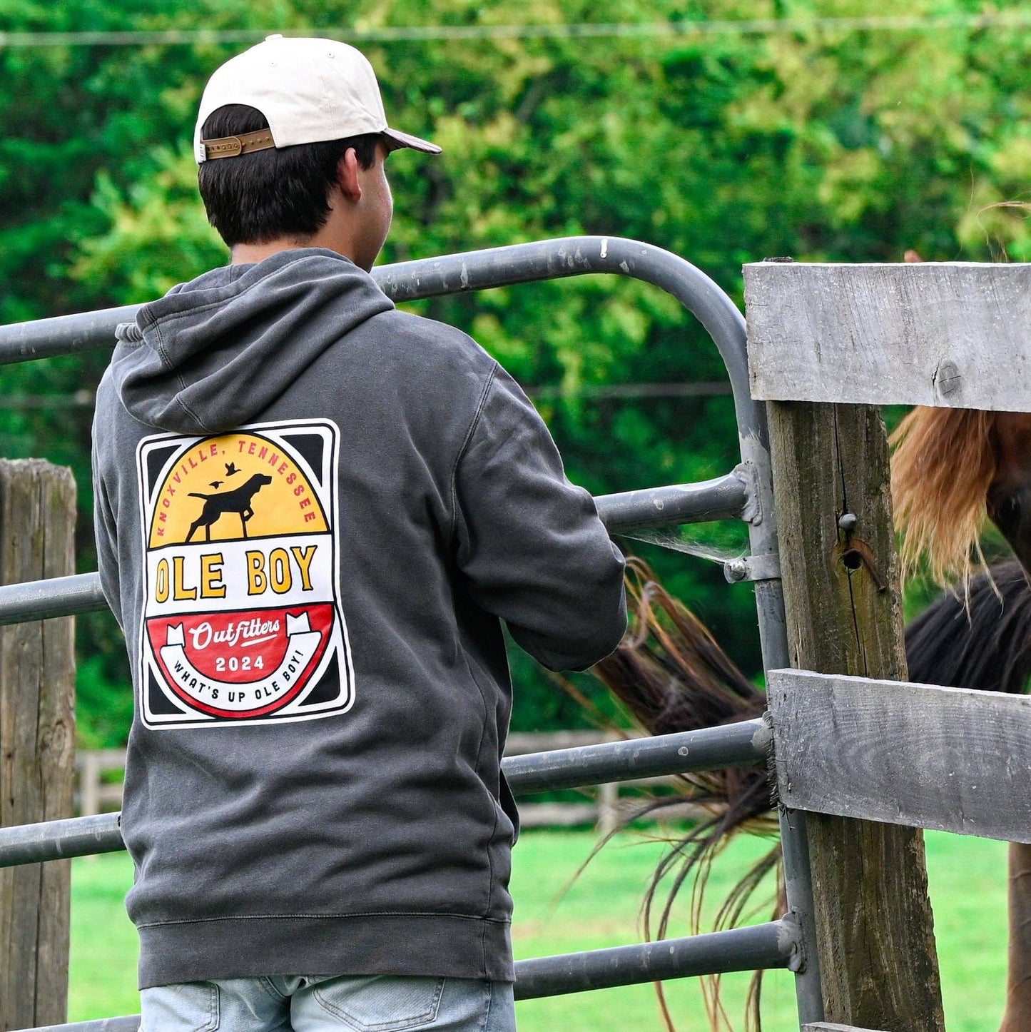 Ole Boy Pointer Dog Hoodie