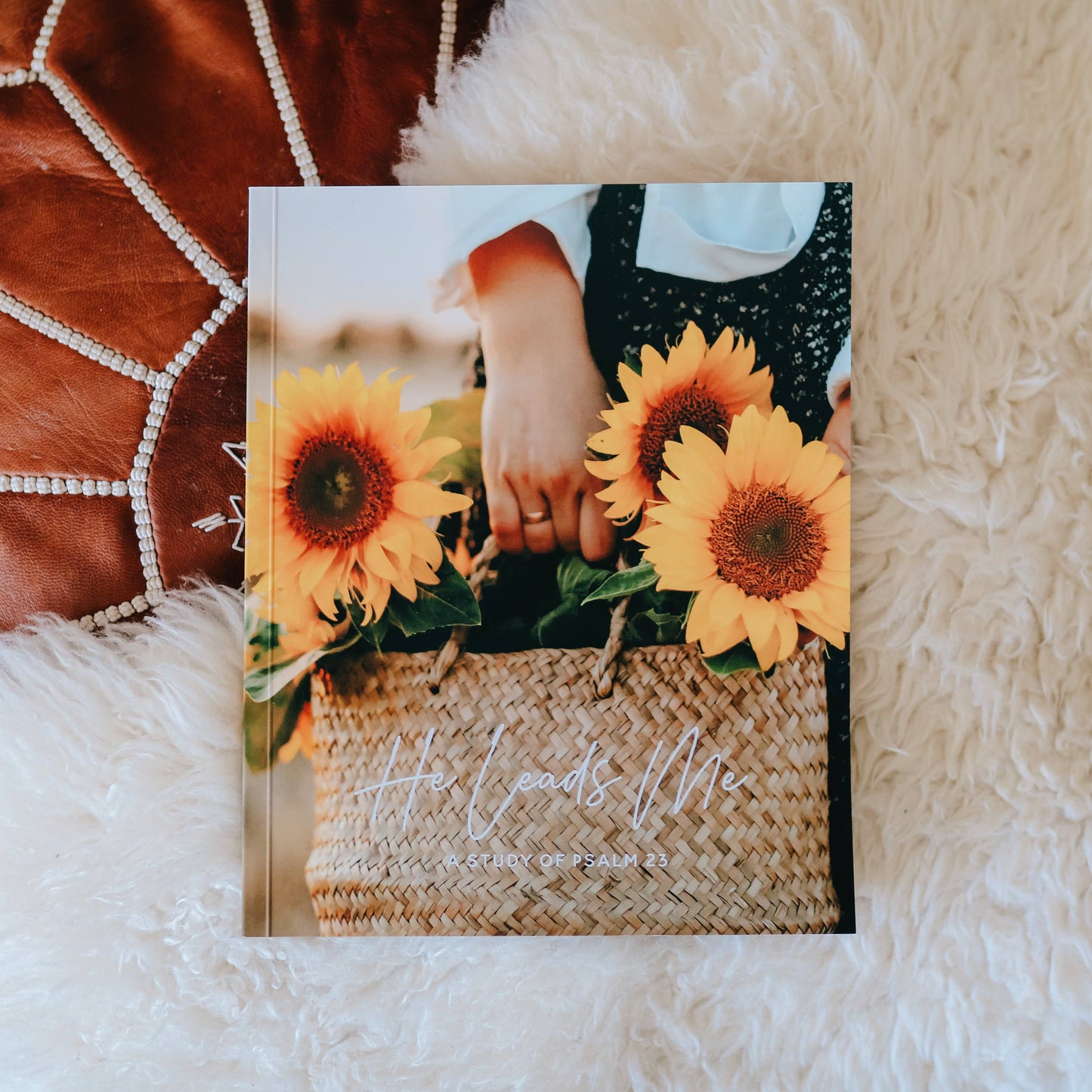 He Leads Me: Psalm 23 Study