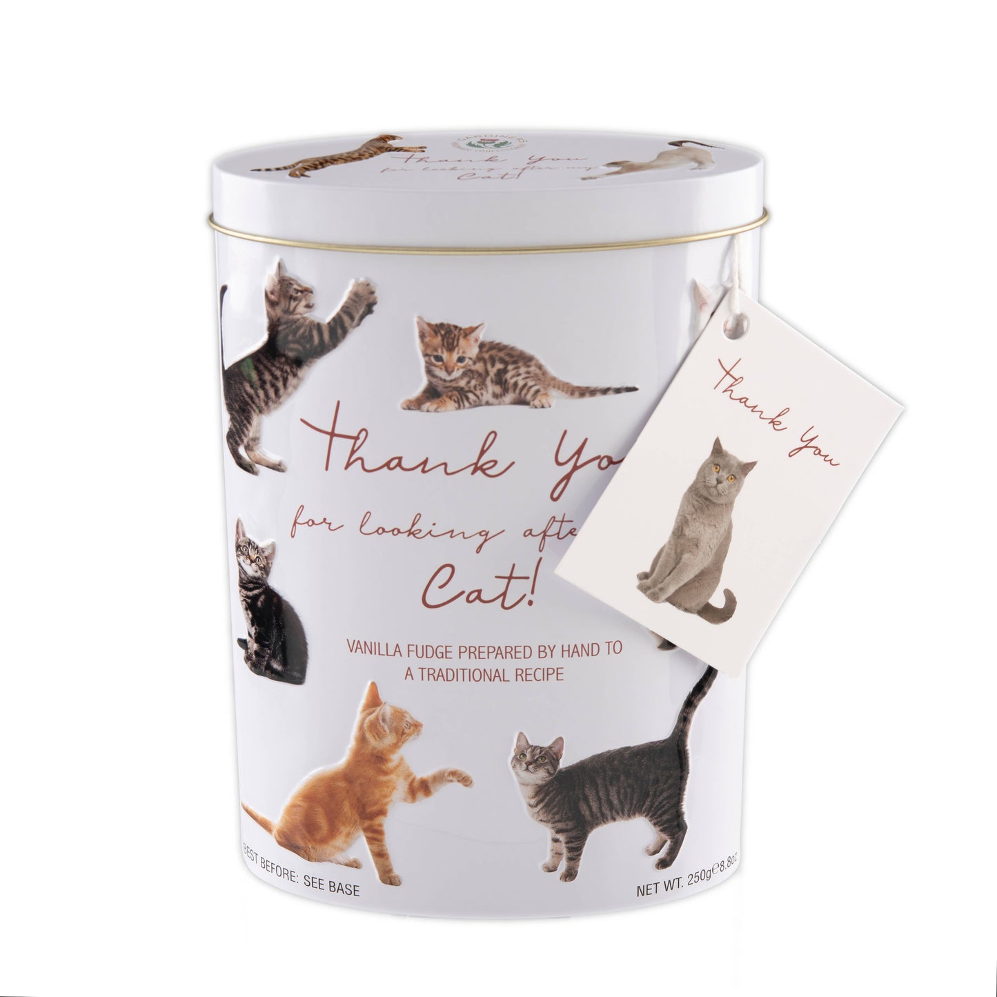 Thank You "Cats" Tin: Vanilla Fudge