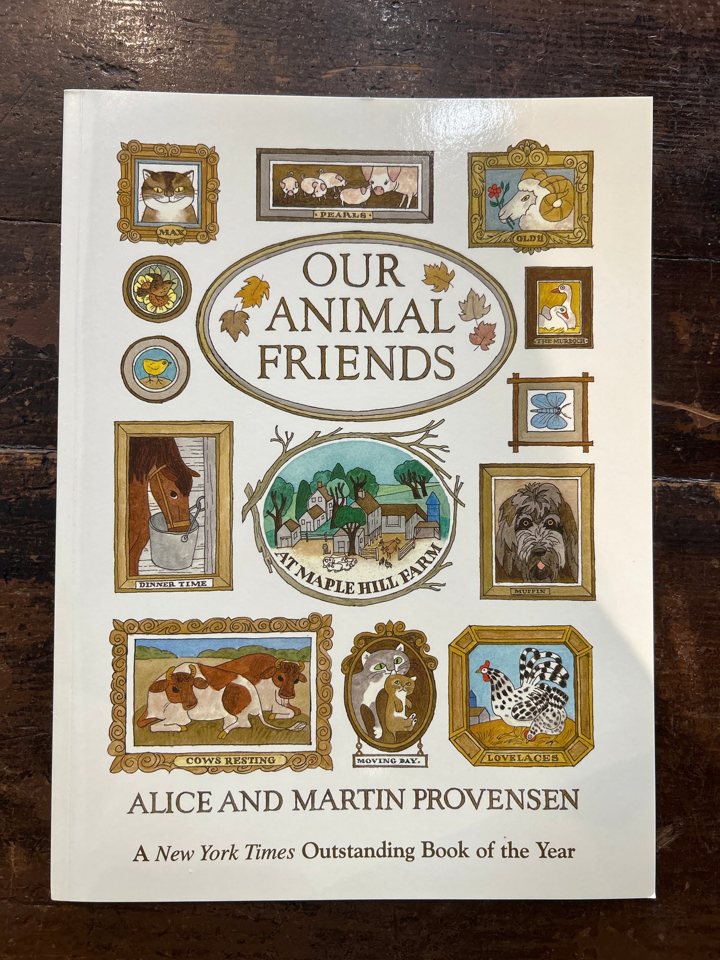 Our Animal Friends Illustration Book