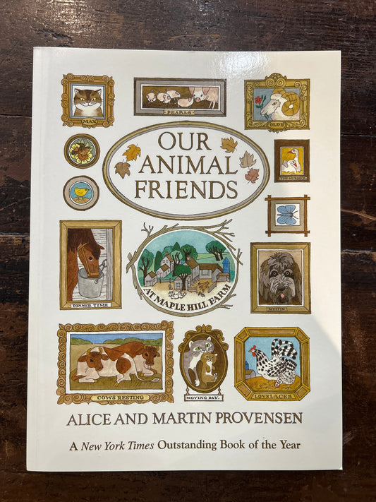 Our Animal Friends Illustration Book