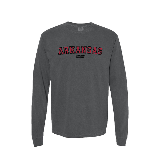 Arkansas game day