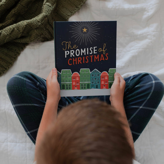 The Promise of Christmas Children's Book