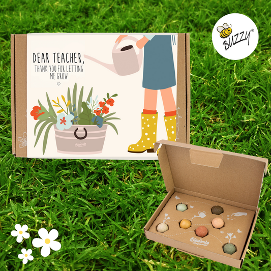 Blossombs Small Box: Dear Teacher