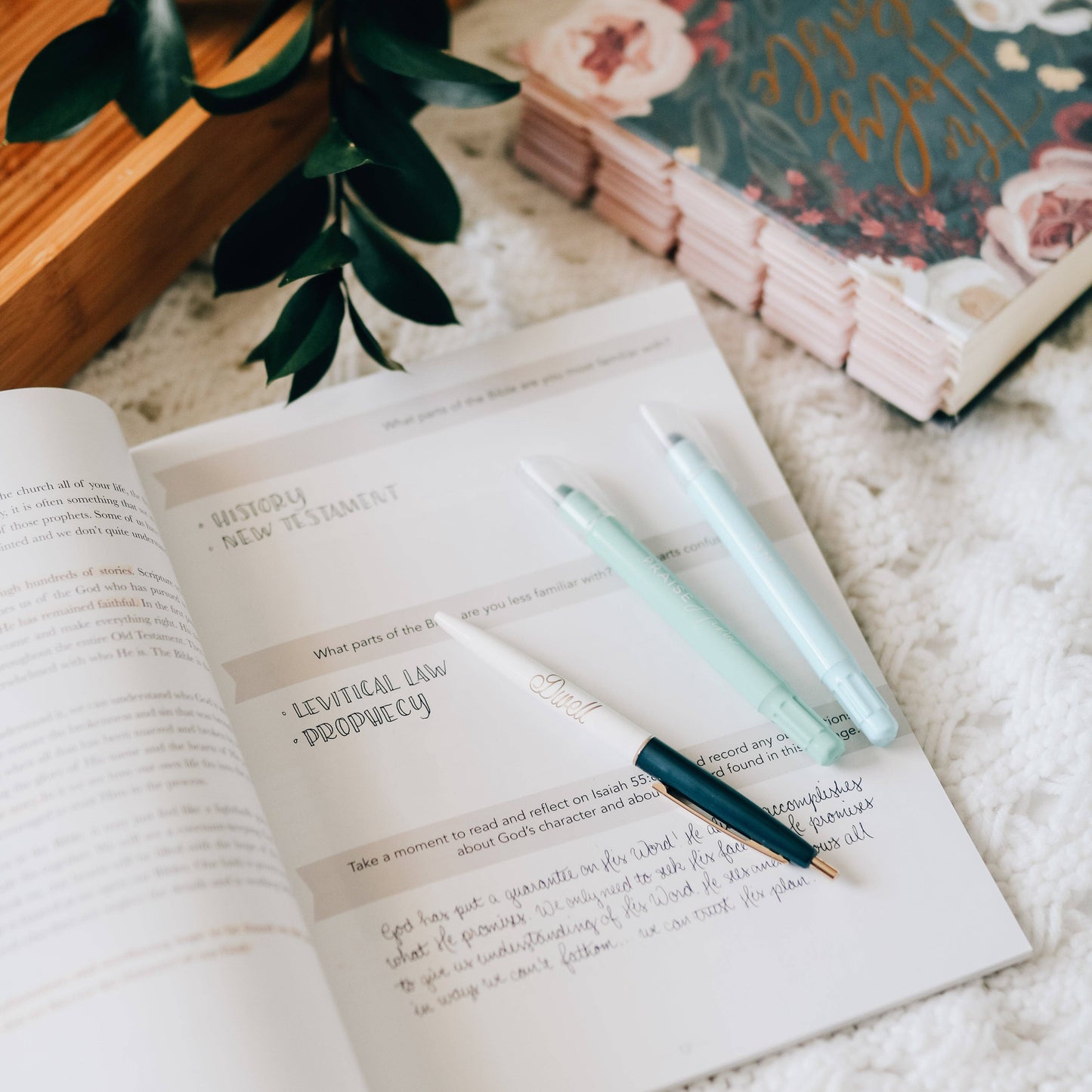 Amen: 5 Week Study: The Story of Scripture from Eden to Eternity