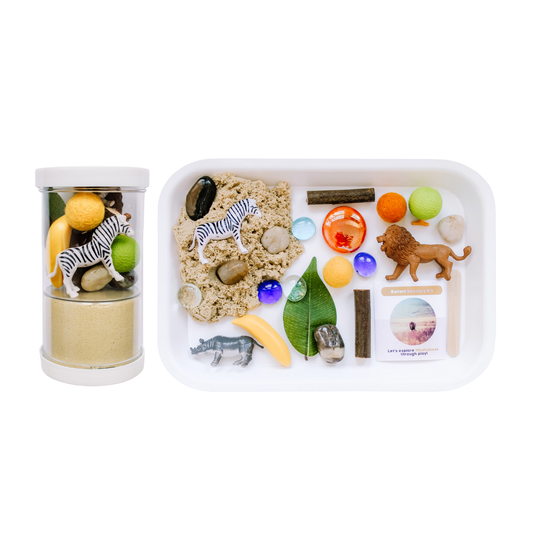 Safari Sensory Play Dough Kit