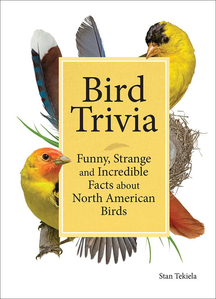 Bird Trivia