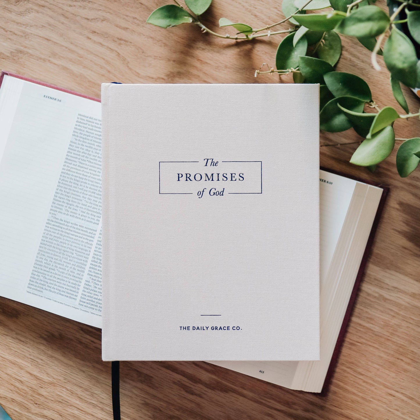 The Promises of God: Coffee Table Book