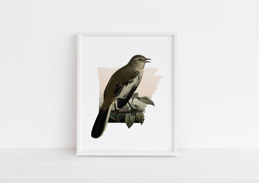 Arkansas Mockingbird 5x7 Art Print