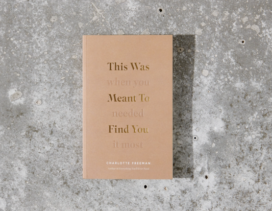 This Was Meant To Find You -Paperback