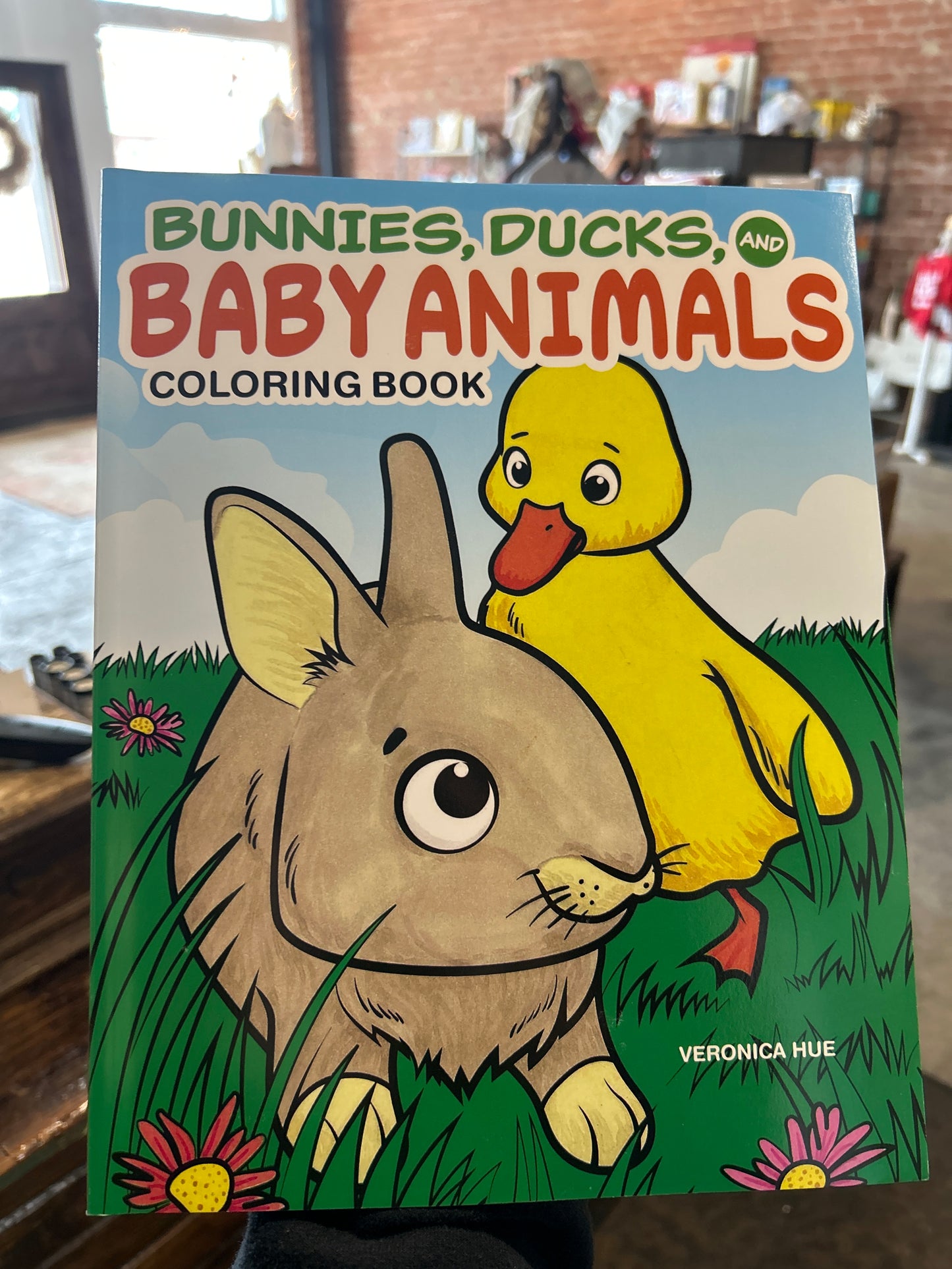 Bunnies, Ducks, Baby Animals Coloring Book