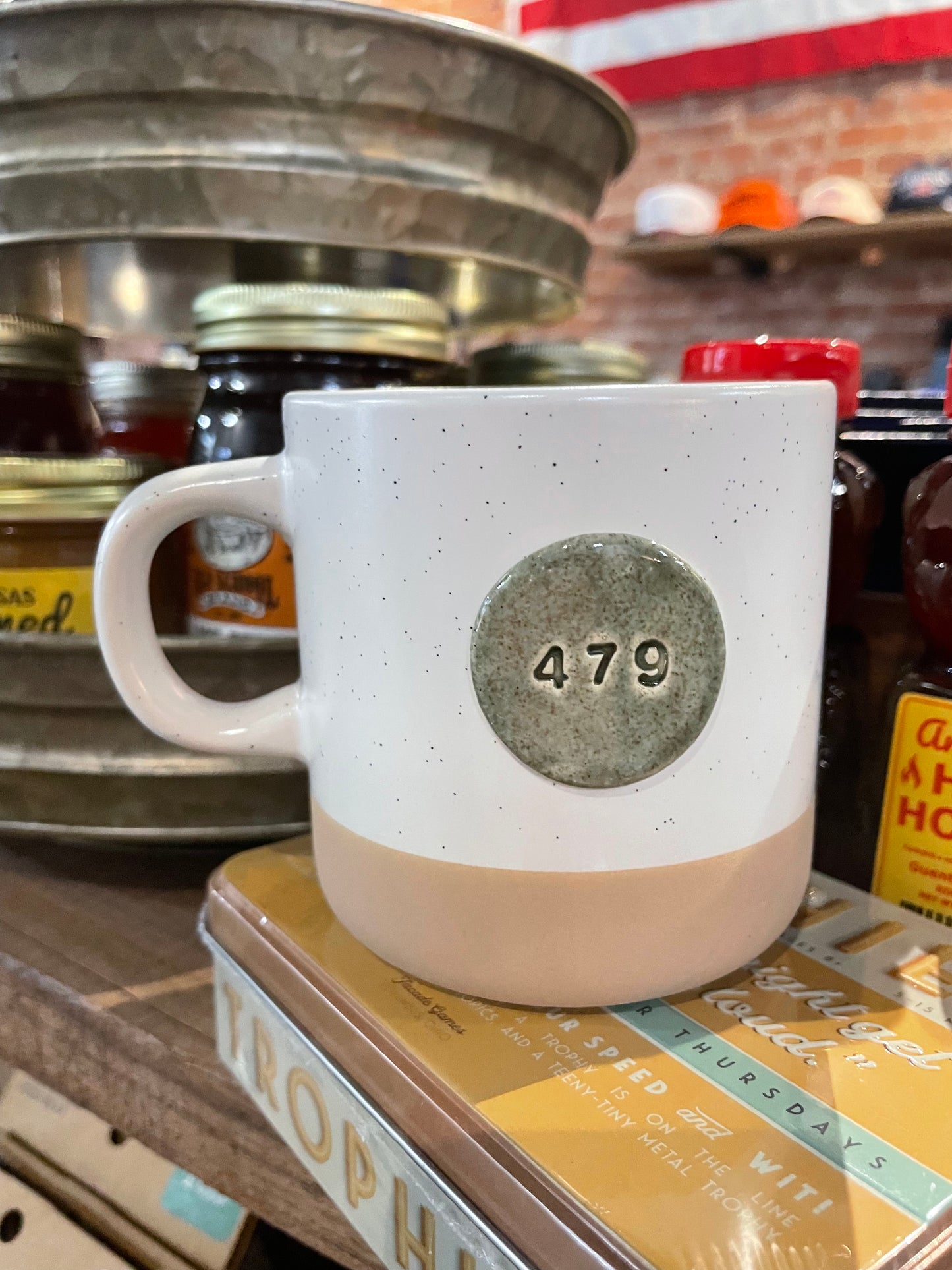 479 Cabin Style Mug