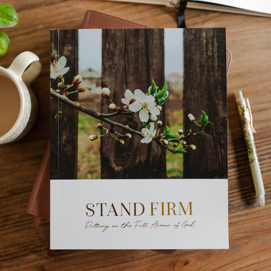 Stand Firm: Armor of God Study 