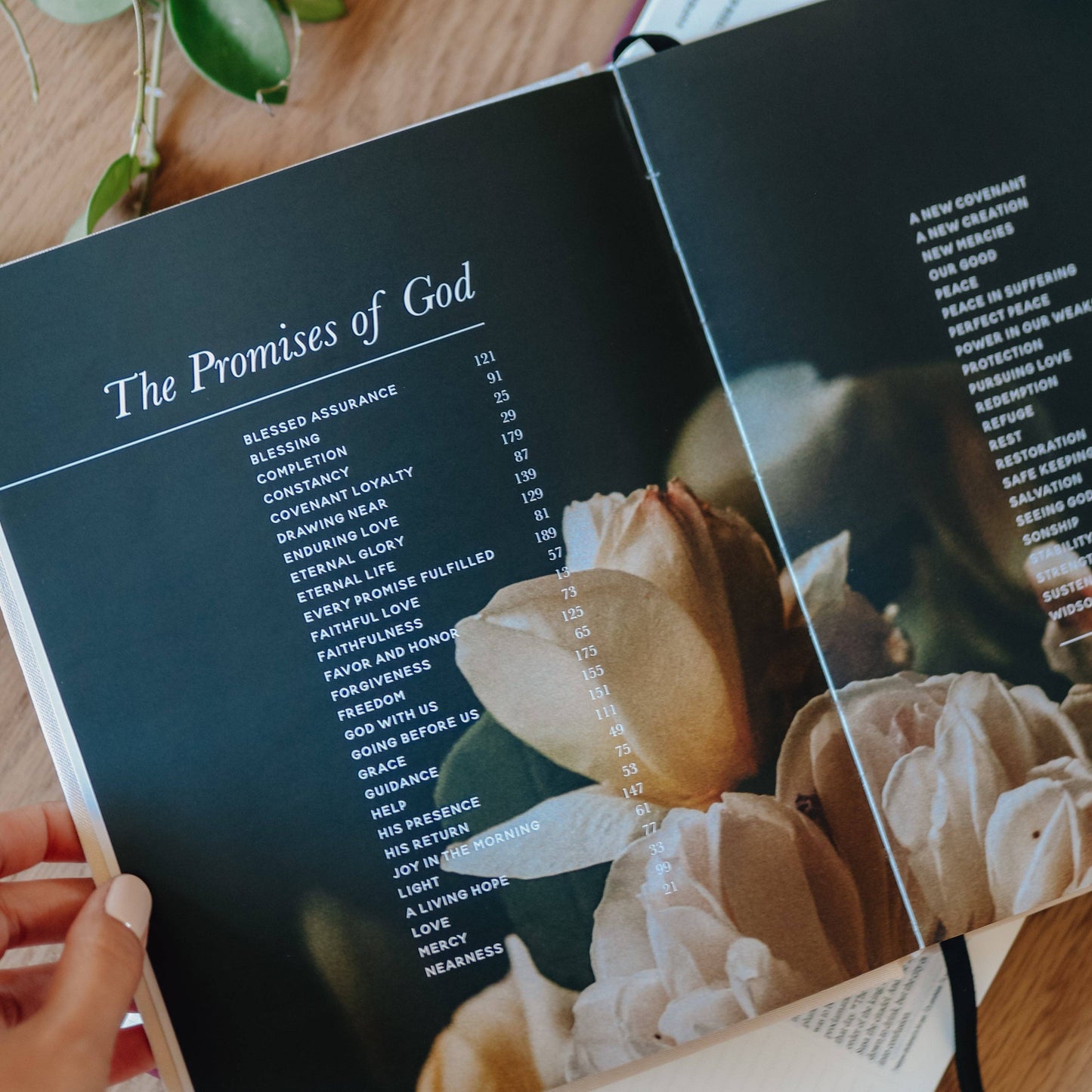 The Promises of God: Coffee Table Book