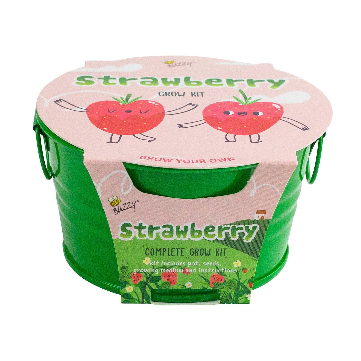 Kids Mini Basin: Strawberry Grow Kit