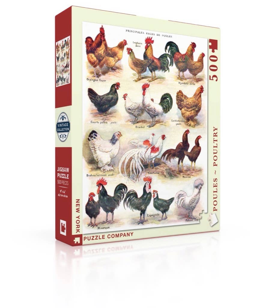 Chicken Puzzle