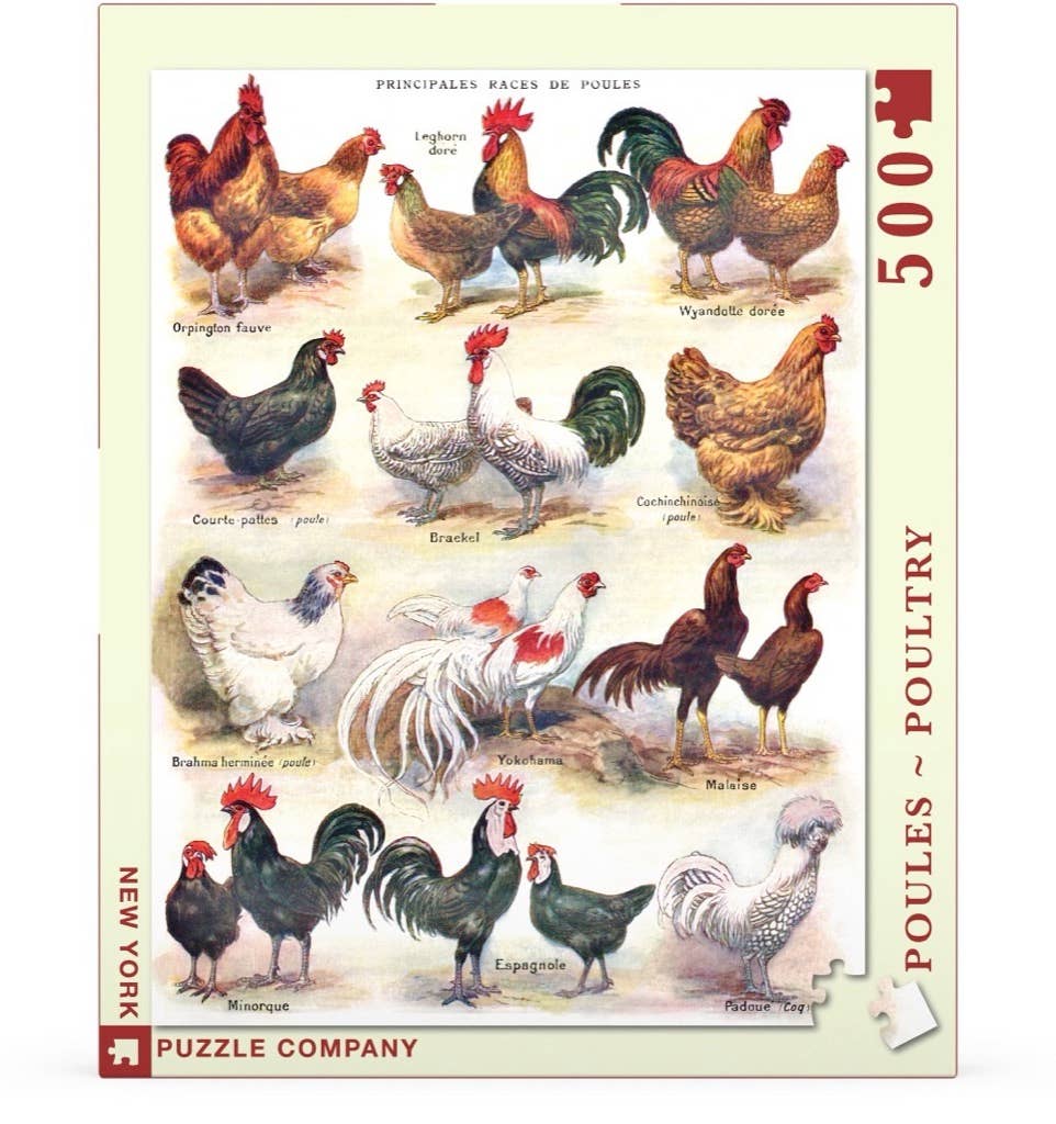 Chicken Puzzle