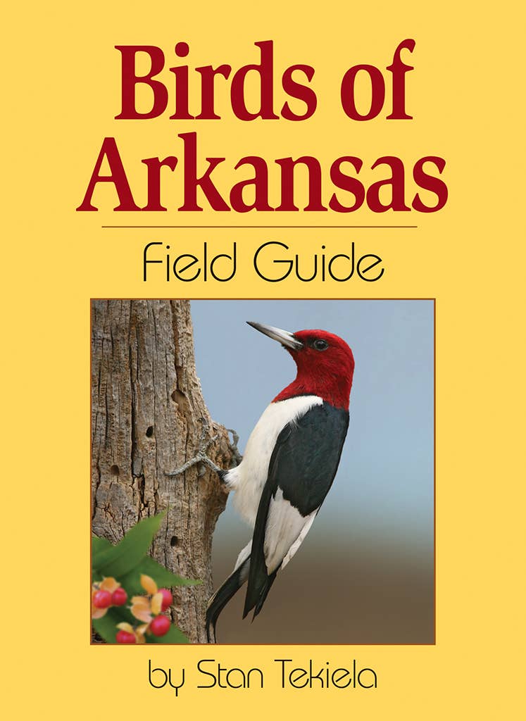 Birds of Arkansas Field Guide