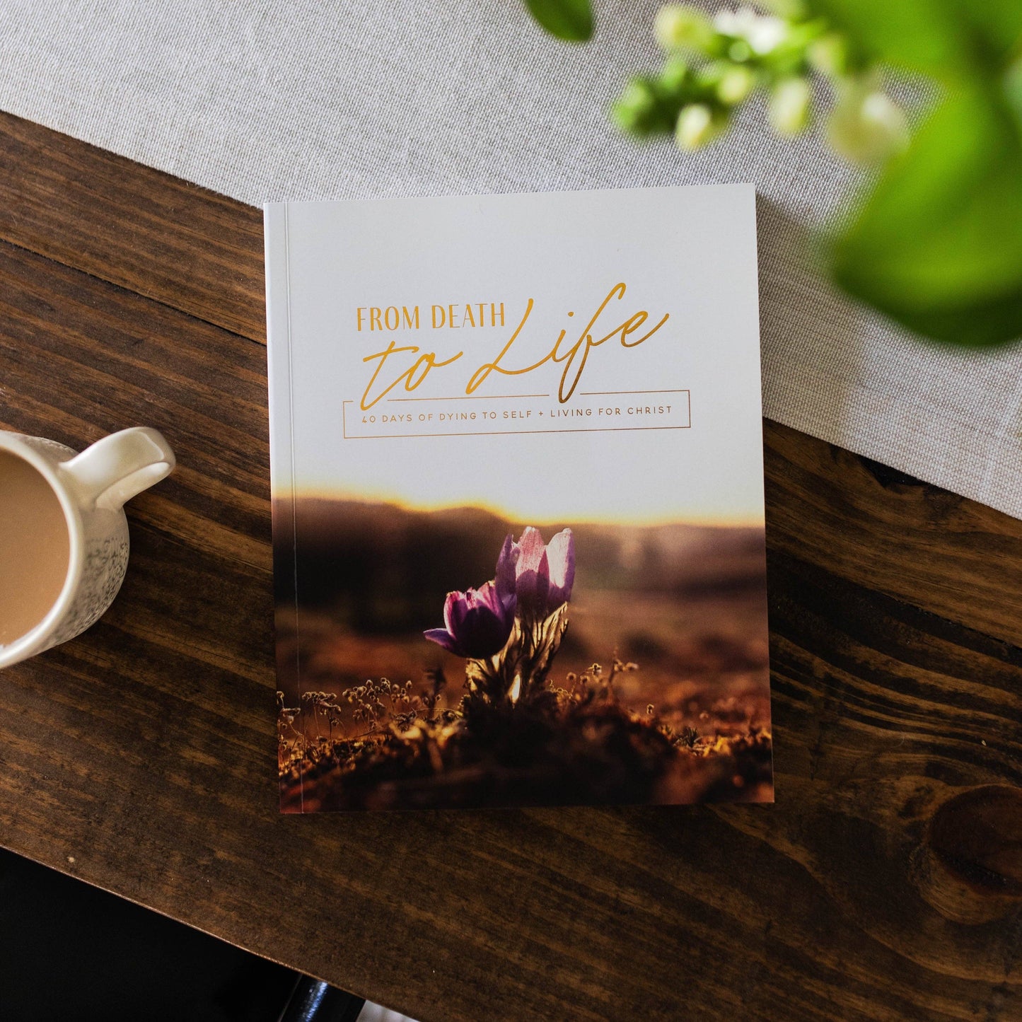 From Death to Life: 40 Days of Dying to Self and Living for Christ